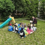 IMG_20260529_110119.jpg